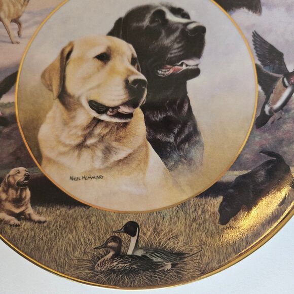 Royal Doulton Lab Partners Fine Bone China Plate by Nigel Hemming - Picture 4 of 9